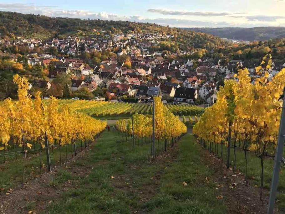 3 Zimmer Neubauwohnung In Der Schwaebischen Toskana Лёвенштайн Экстерьер фото